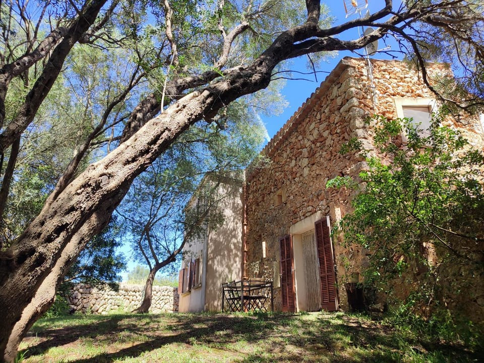 Finca Cas Canar Villa in Pla de Mallorca
