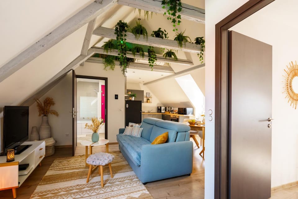 La pause gourmande charme et confort au centre ville Apartment in Grand Est