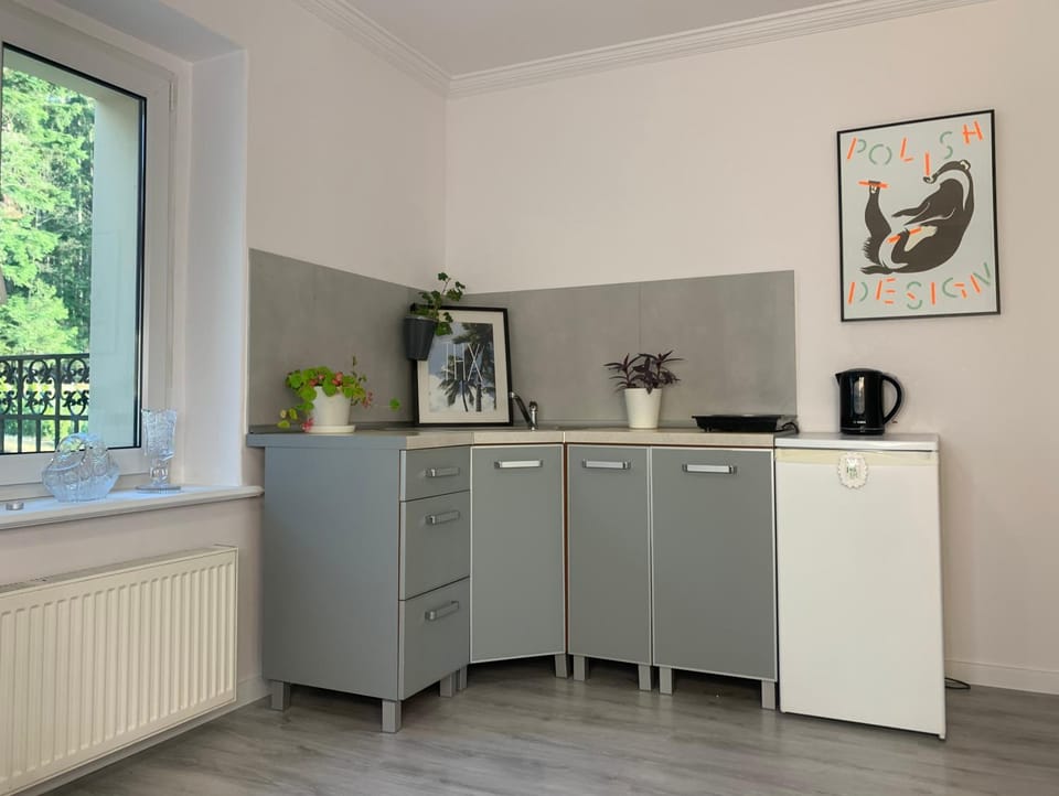 Kitchen or kitchenette, Communal kitchen