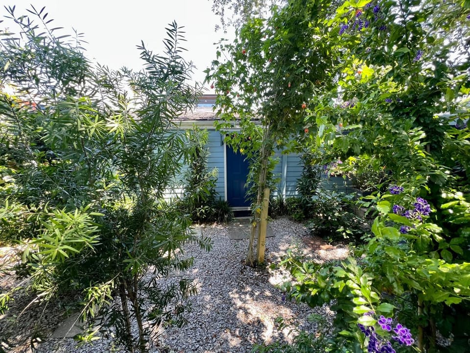 Natural landscape, Garden view