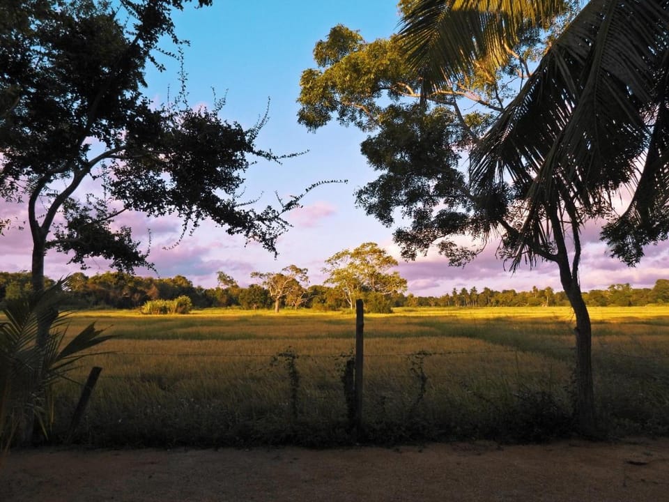 The Blue Sapphire Of Wilpattu Resort in Sri Lanka
