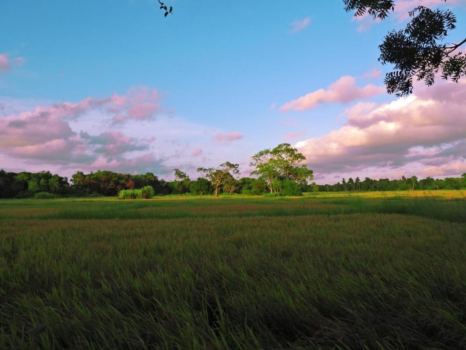 The Blue Sapphire Of Wilpattu Resort in Sri Lanka