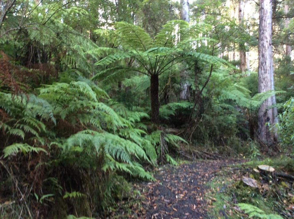 Hiking