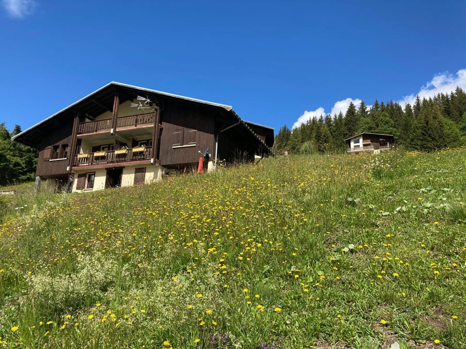 Property building, Facade/entrance, Neighbourhood, Garden, Garden view, Mountain view