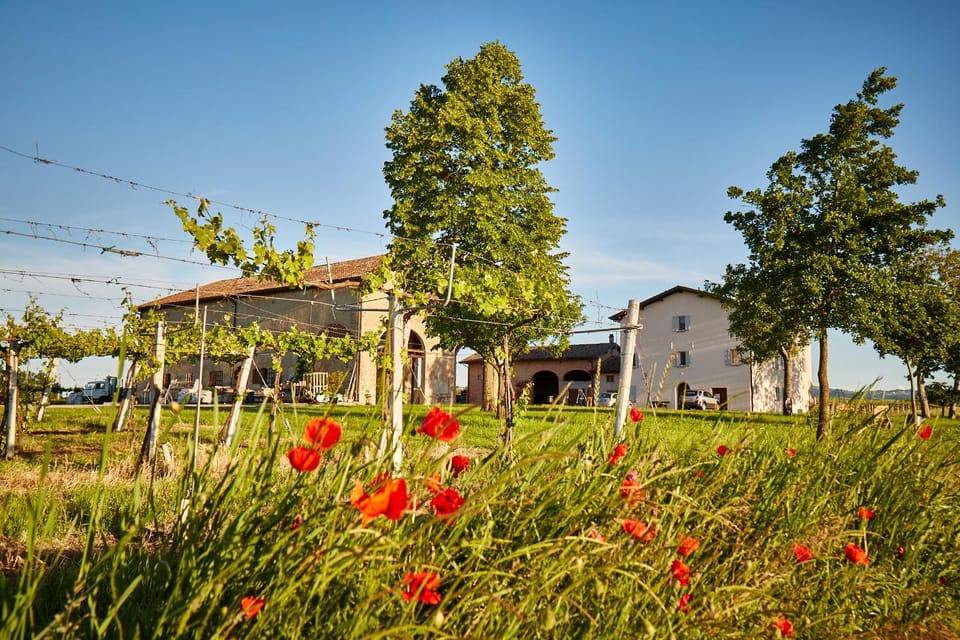Property building, Neighbourhood, Garden