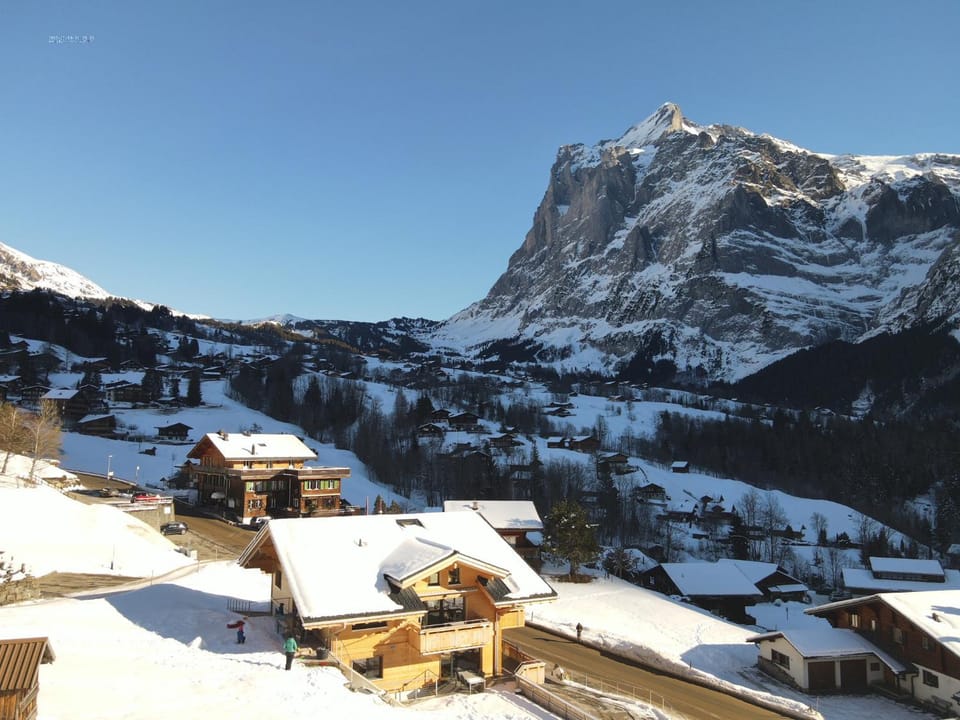 Chalet Mila Apartment in Grindelwald