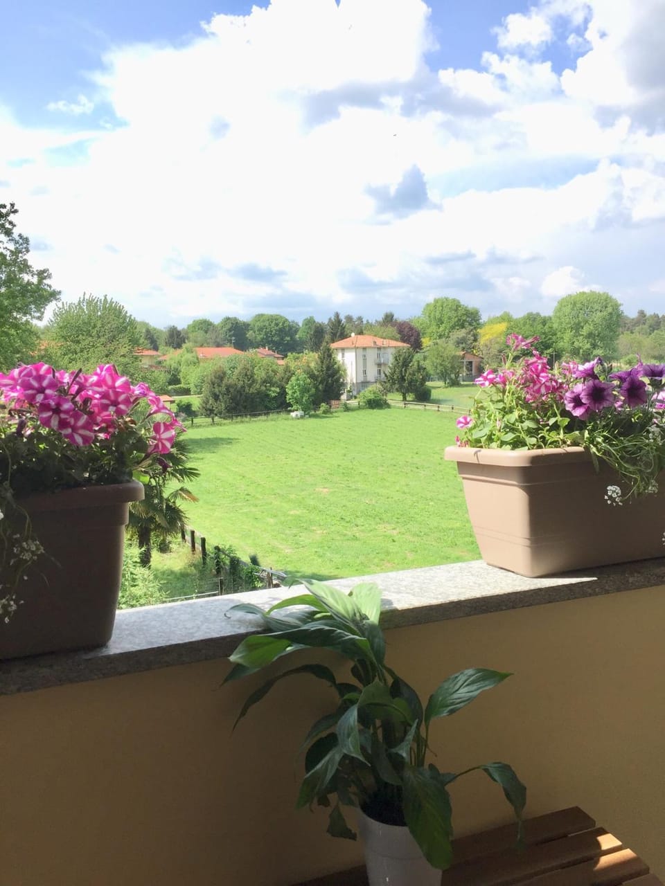 Natural landscape, Garden, Balcony/Terrace, Balcony/Terrace