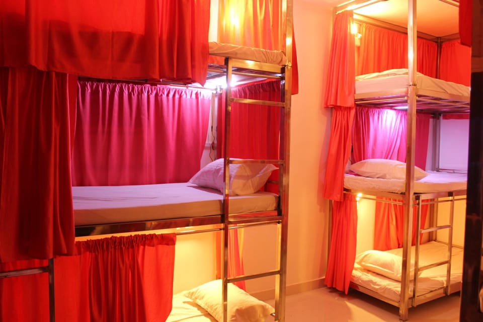 bunk bed