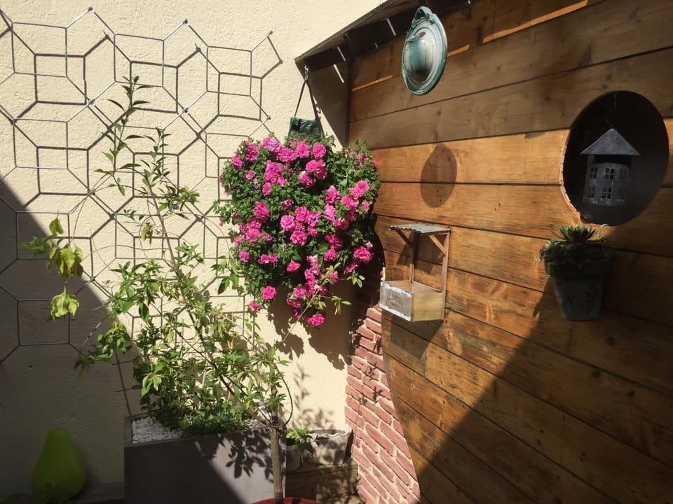 le patio de l'oustal Bed and Breakfast in Occitanie