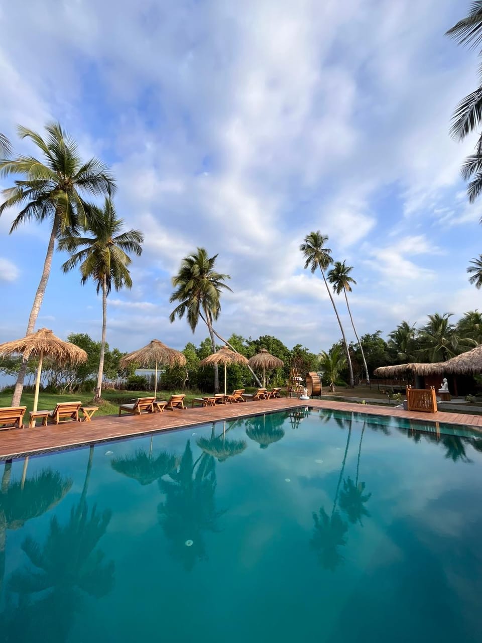 Garden, Garden view, Pool view, Swimming pool, sunbed