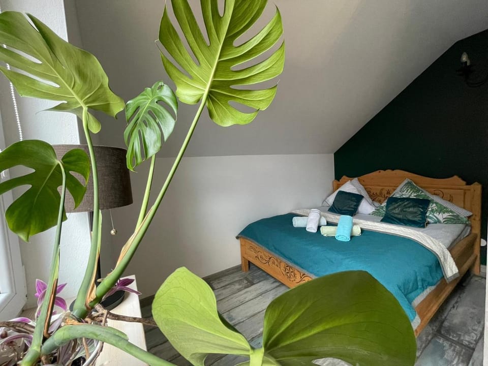 Zakątek Słoneczny pod Baranią Górą Farm Stay in Slovakia