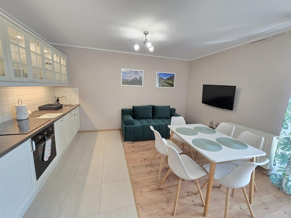 TV and multimedia, Kitchen or kitchenette, Seating area, Dining area, internet, kitchen