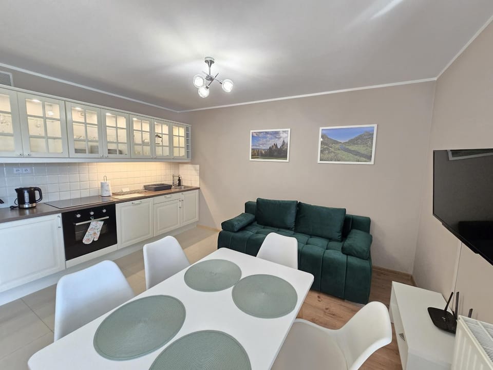 TV and multimedia, Kitchen or kitchenette, Seating area, Dining area, internet, kitchen