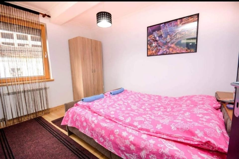 Centar Apartment in Serbia