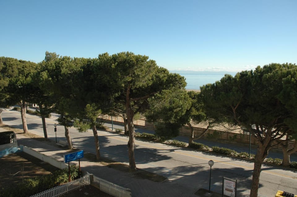 Sea view, Street view