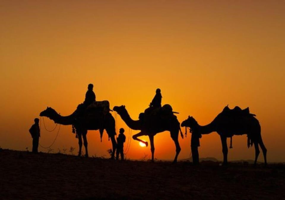 Day, People, Animals, Sunrise