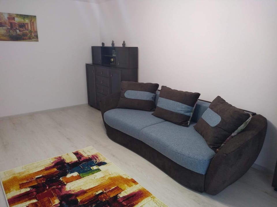 CASA Unchiu' ( uncle's house ) Apartment in Brasov