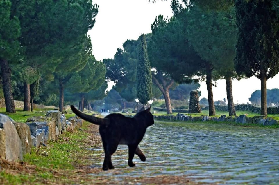 B&B Appia Felis Bed and Breakfast in Rome