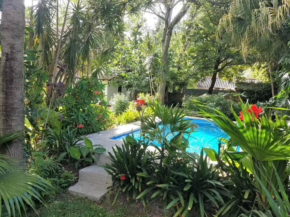 Natural landscape, Garden, Garden view, Pool view, Swimming pool