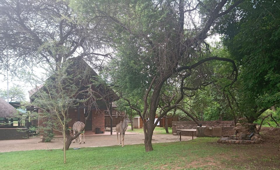 Marloth Wild Fig House in South Africa