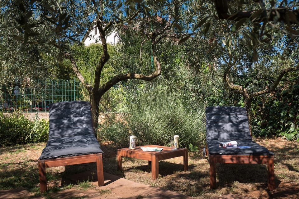 Day, Natural landscape, Garden, Seating area