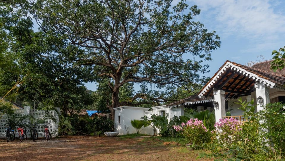 Property building, Garden