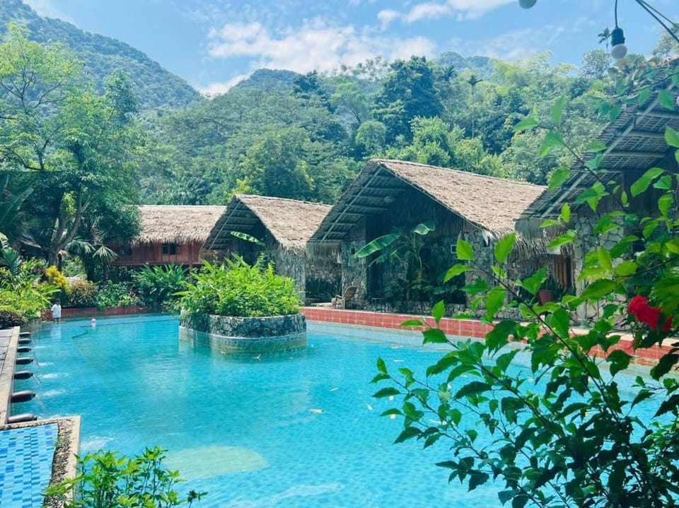 Swimming pool