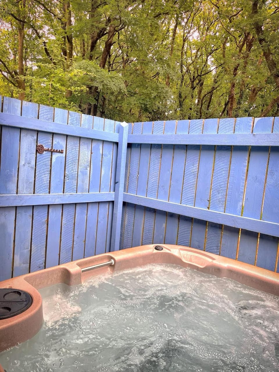 Primrose 19-Woodland Lodges-Carmarthen-Pembroke Chalet in Wales