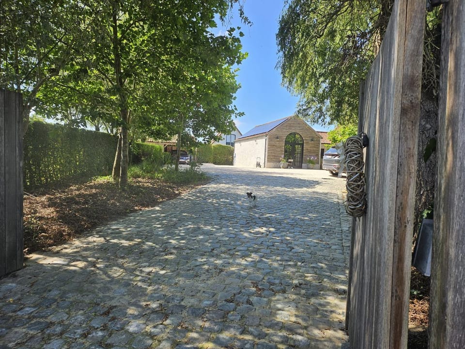 Casa Leone near Bruges with jacuzzi & parking Bed and Breakfast in Flanders