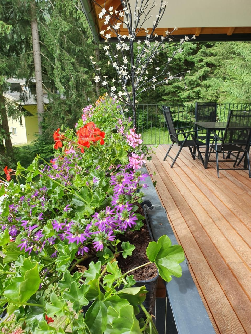 Golf Bad Kleinkirchheim Apartment in Carinthia, Austria