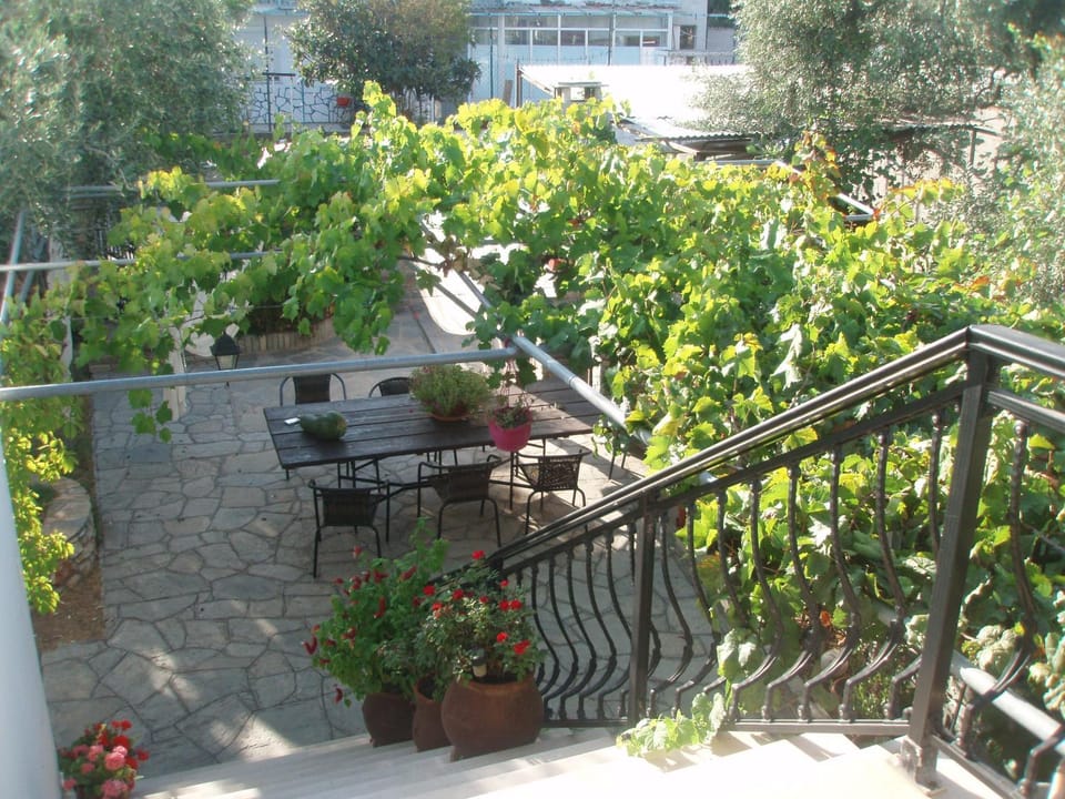 Garden view