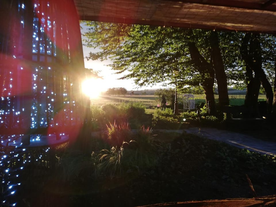 Natural landscape, Garden, Garden view