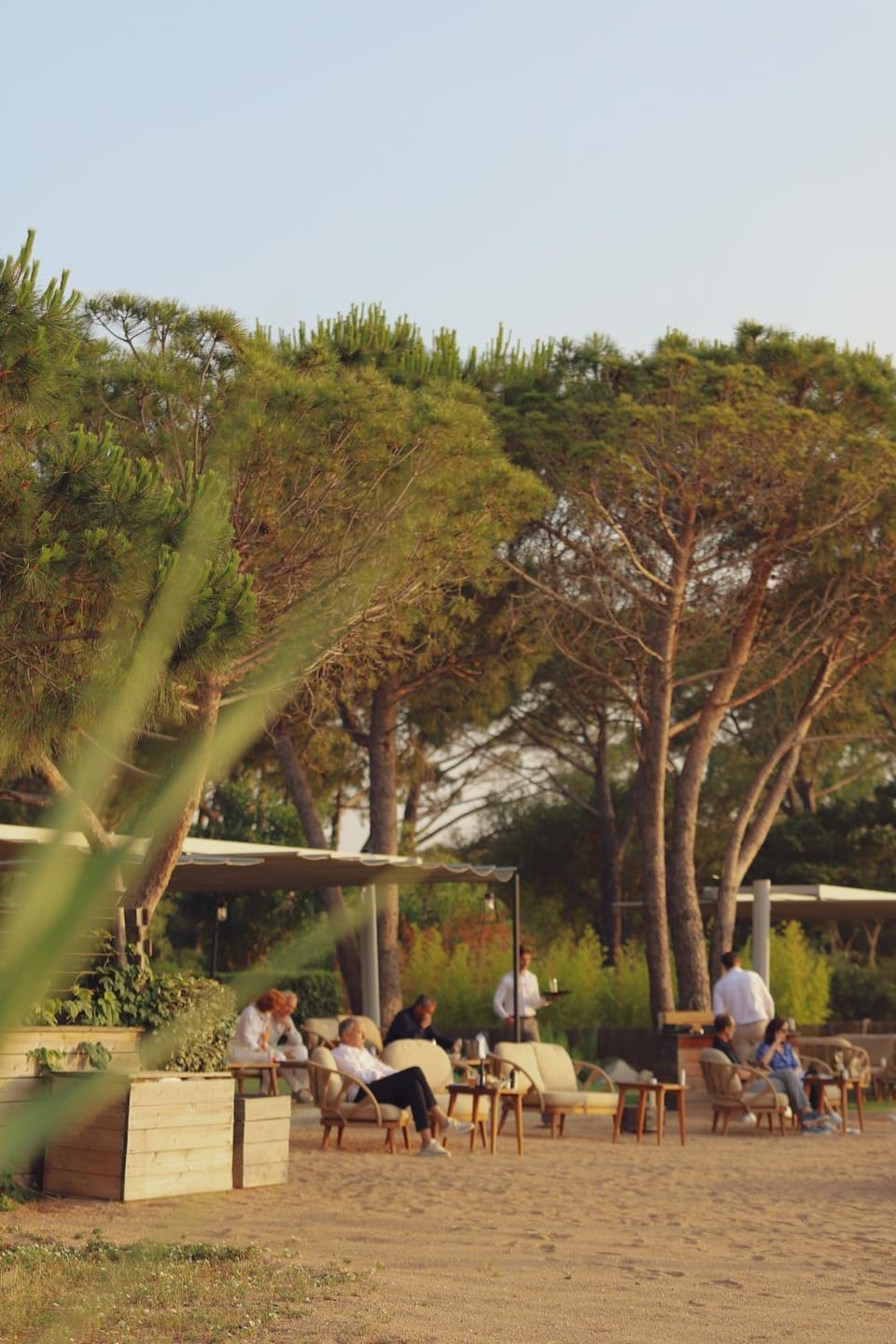Natural landscape, Beach, Garden view