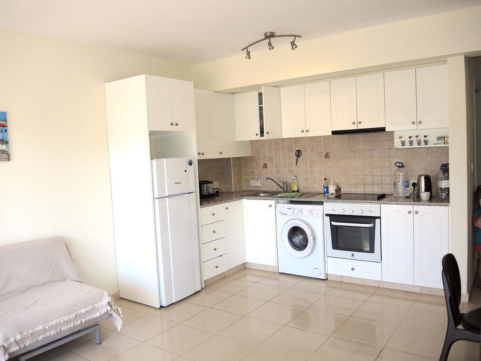 Kitchen or kitchenette, Living room, Communal kitchen, minibar, pet friendly, stove, toaster, washing machine