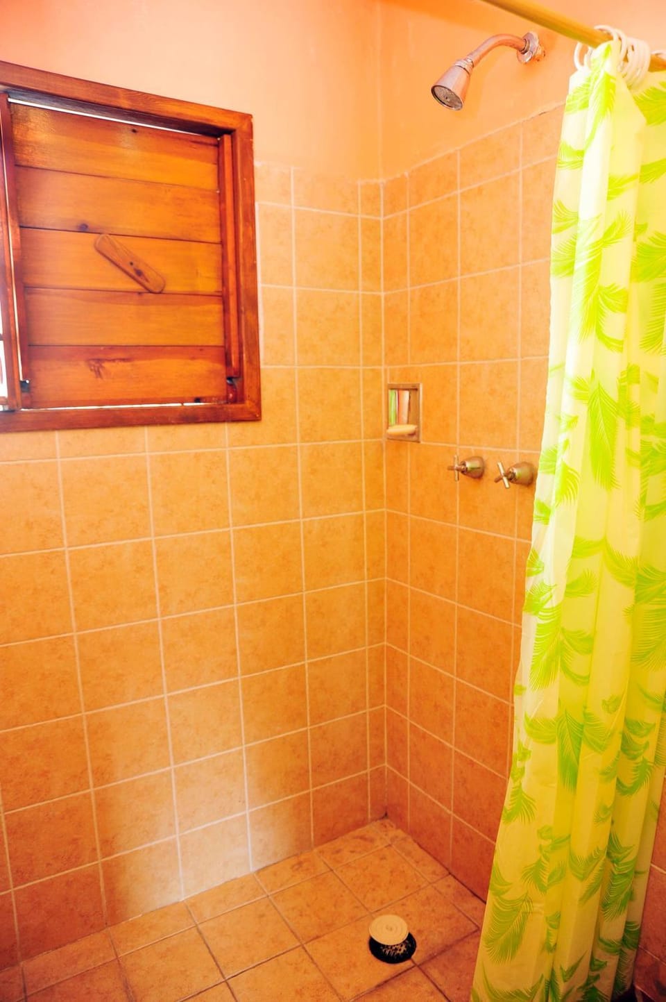 Shower, Toilet, towels