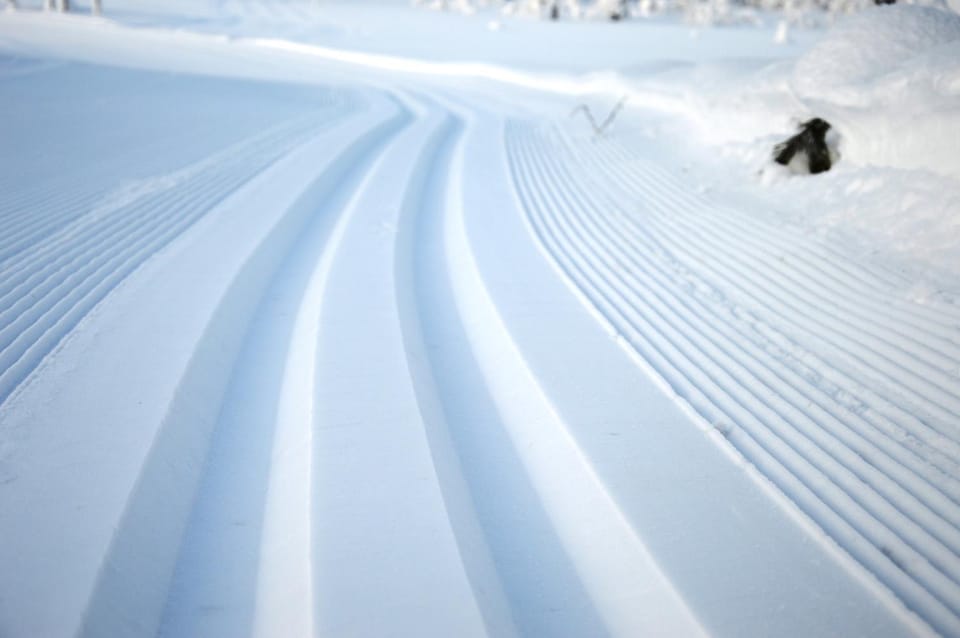 Day, Winter, Skiing