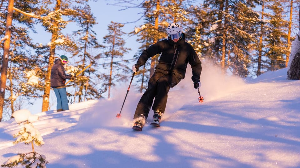 Day, Winter, Skiing