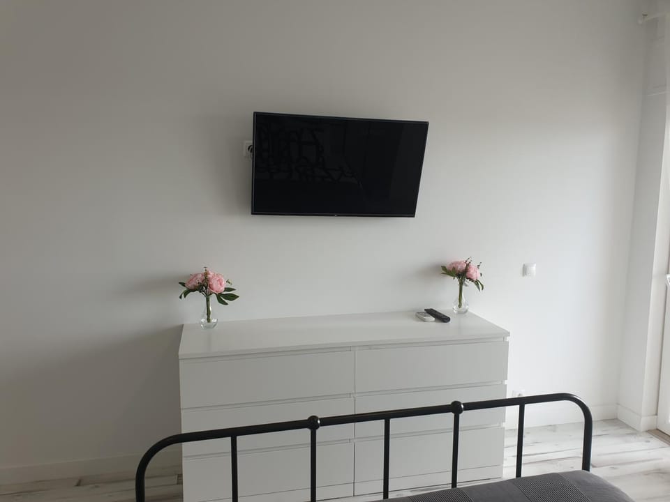 Communal lounge/ TV room, TV and multimedia, Decorative detail, Decorative detail