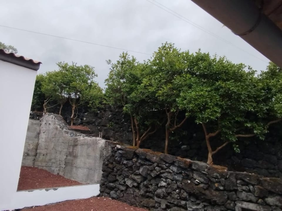 Aldeia da Gingeira Villa in Azores District
