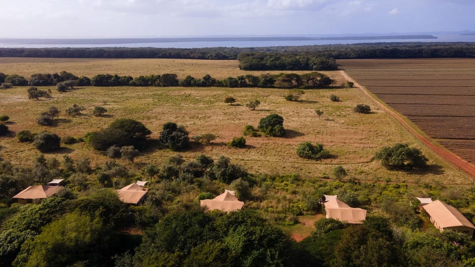 Hluhluwe Bush Camp Luxury tent in KwaZulu-Natal