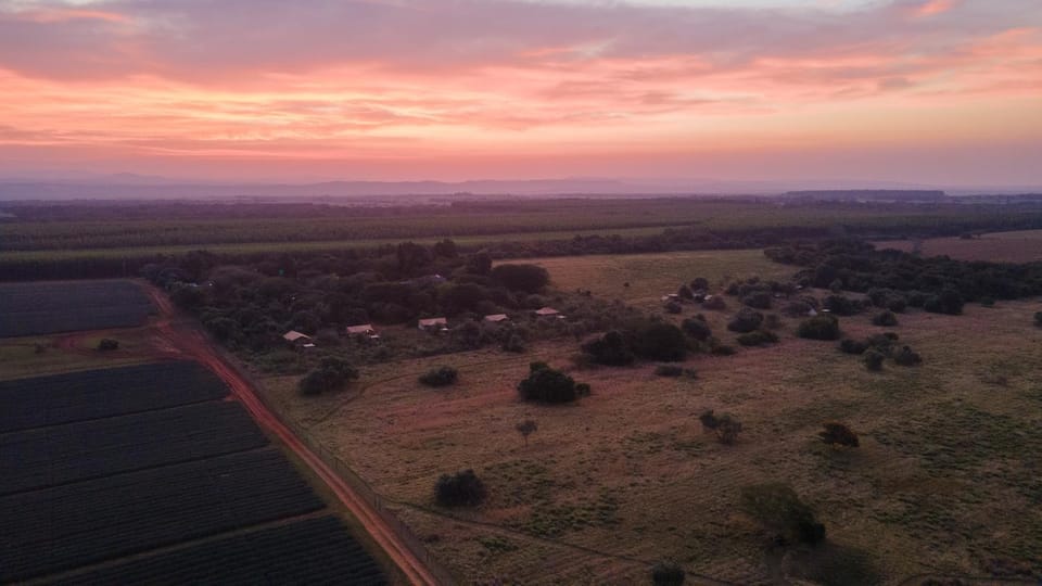 Hluhluwe Bush Camp Luxury tent in KwaZulu-Natal