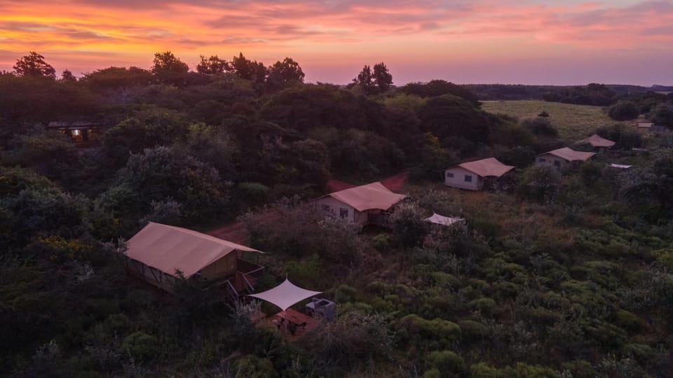 Hluhluwe Bush Camp Luxury tent in KwaZulu-Natal