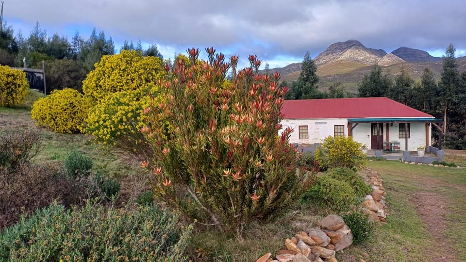 Property building, Mountain view