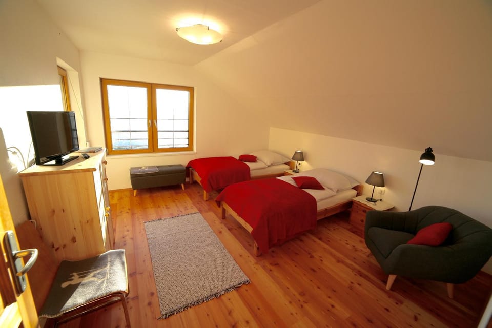 Photo of the whole room
