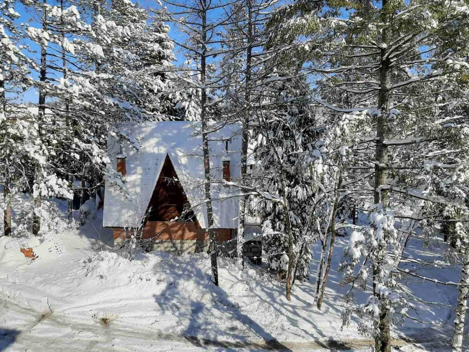 Almi Lux Apartman Zlatibor Apartment in Zlatibor