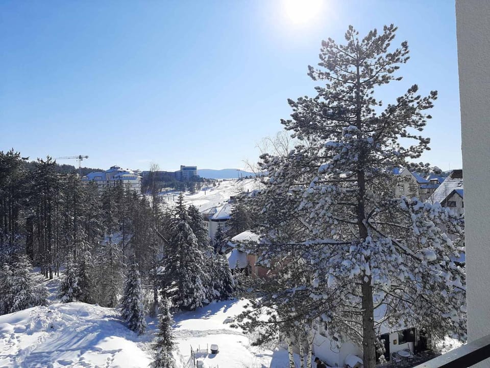 Almi Lux Apartman Zlatibor Apartment in Zlatibor