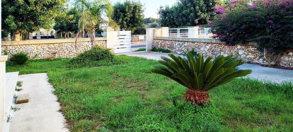 Facade/entrance, Garden view