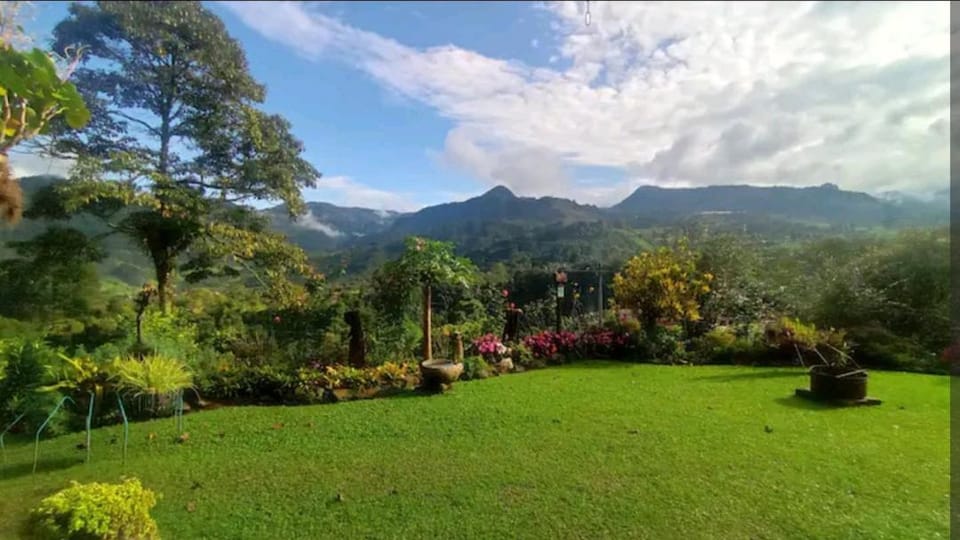 Day, Garden, Garden view, Mountain view