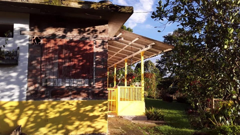 Property building, Day, Garden