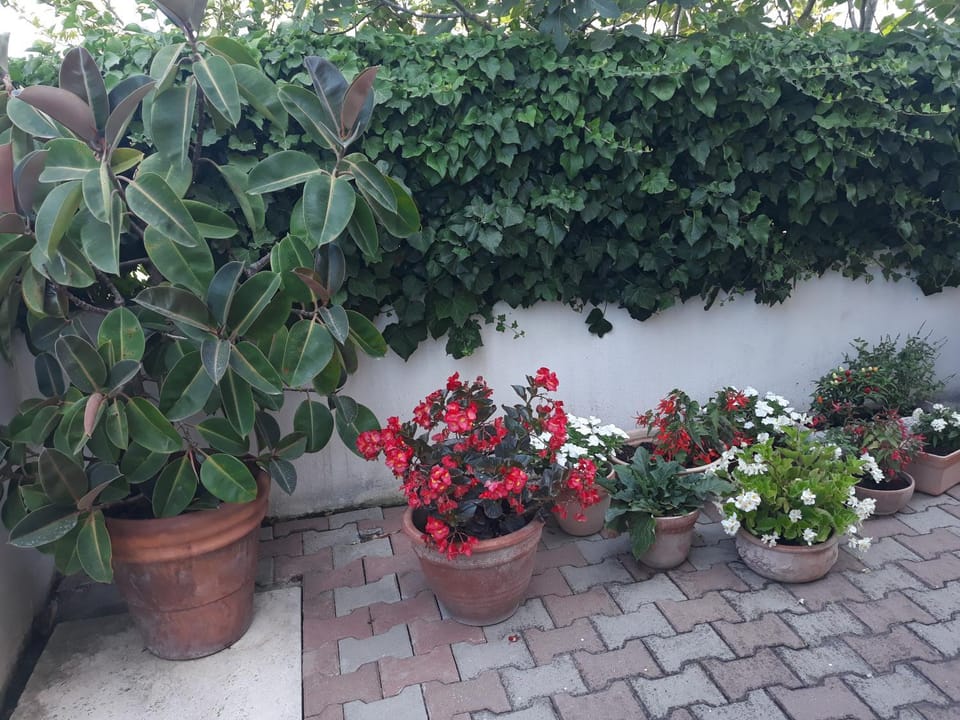 Le Bagnanti Di Miro' Vacation rental in Terracina